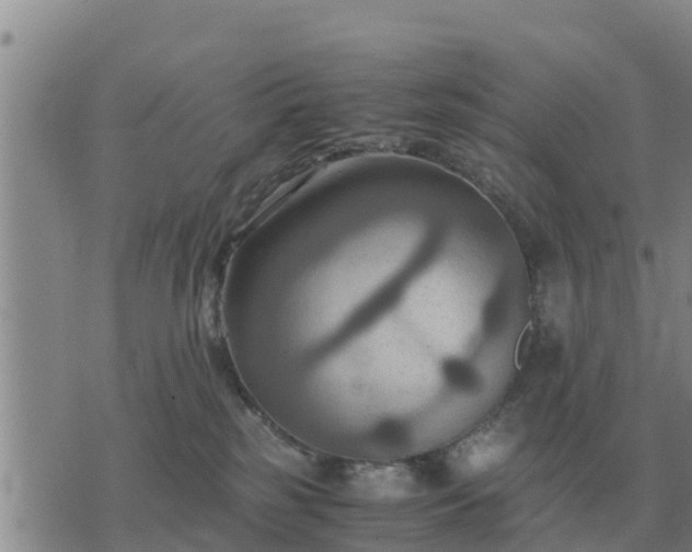 X0000075890185200609221920