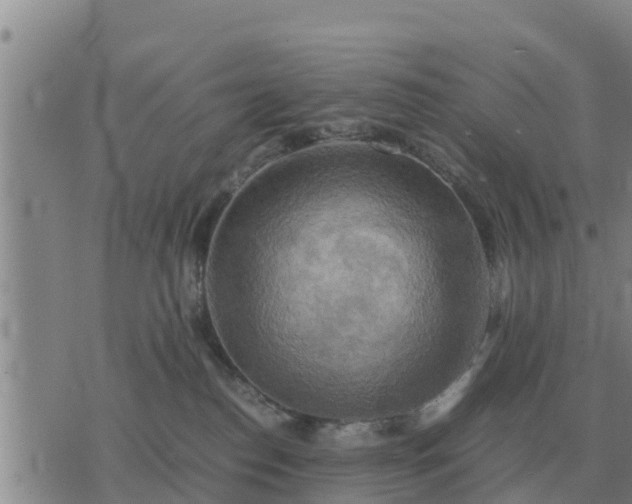 X0000075890186200609221920