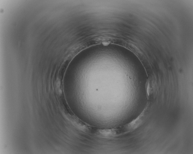 X0000075890187200609221920