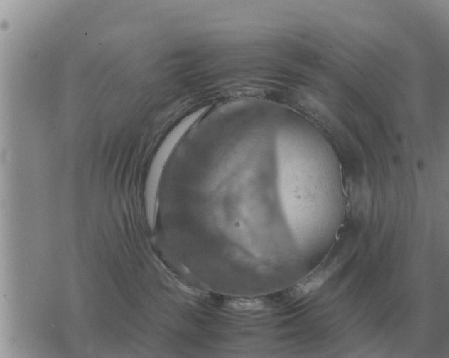 X0000075890189200609221920