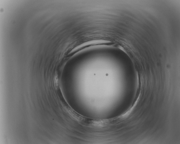 X0000075890190200609221920