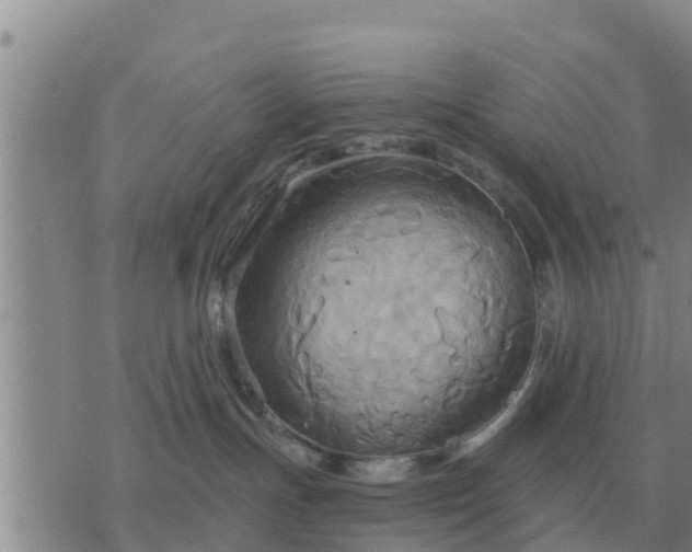 X0000075890191200609221920