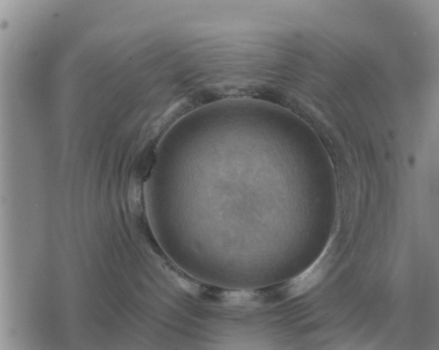 X0000075890192200609221920