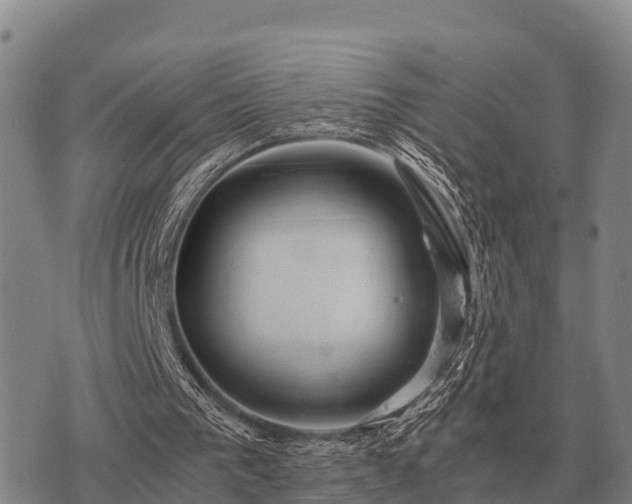 X0000075890193200609221920