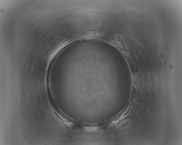 X0000075890196200609221920