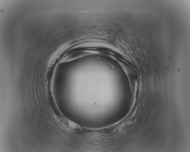 X0000075890197200609221919