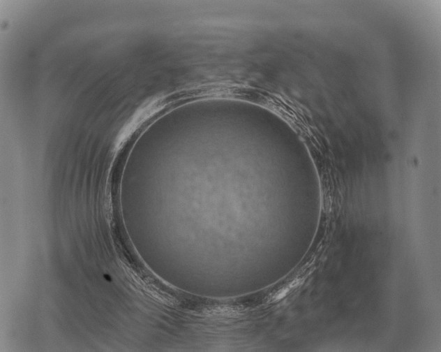 X0000075890198200609221919