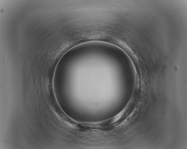 X0000075890201200609221919