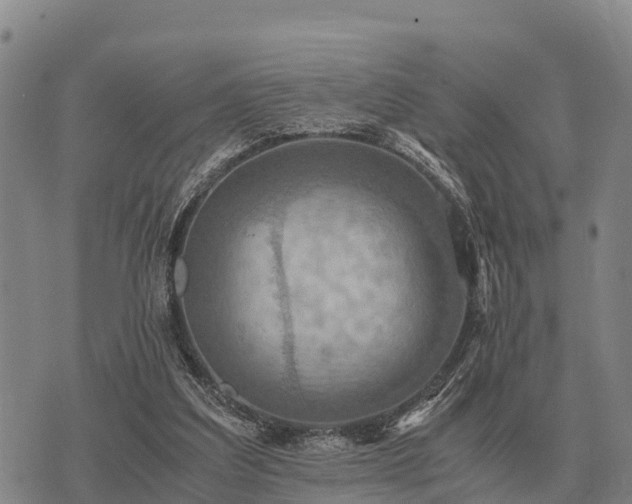 X0000075890203200609221919