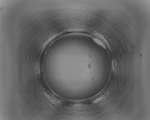 X0000075890204200609221919