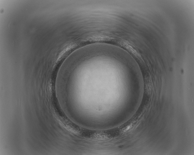 X0000075890207200609221919