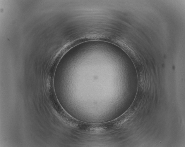 X0000075890208200609221919