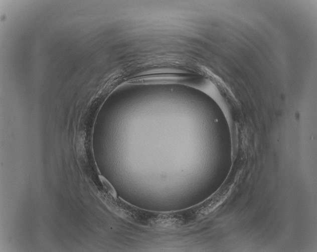 X0000075890209200609221919