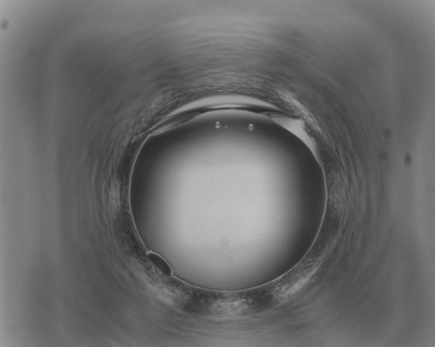 X0000075890213200609221919