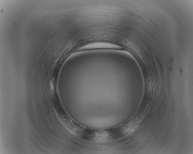 X0000075890214200609221919