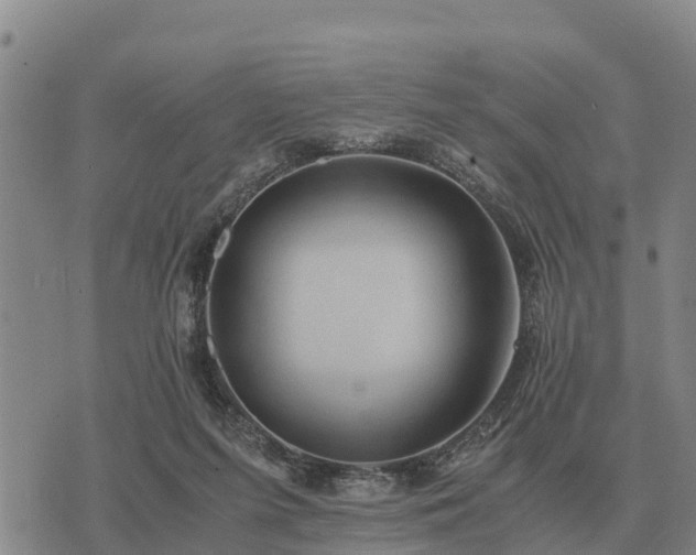 X0000075890215200609221919