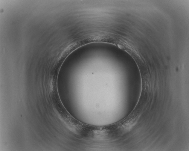 X0000075890216200609221919