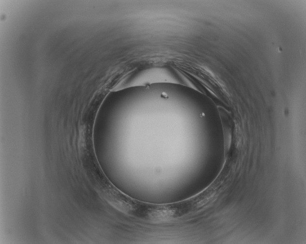 X0000075890217200609221919