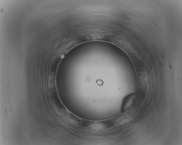 X0000075890218200609221919