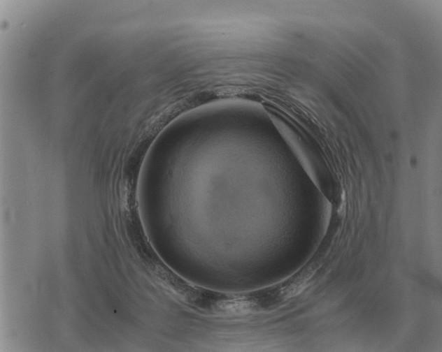 X0000075890219200609221919