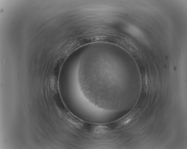 X0000075890222200609221919