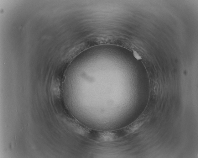 X0000075890226200609221919