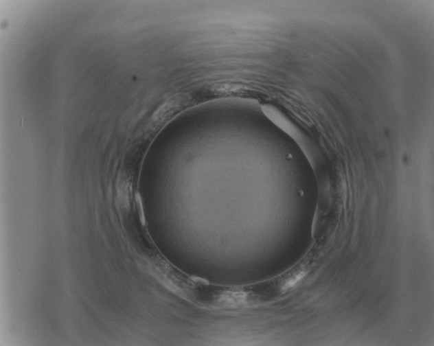 X0000075890227200609221919