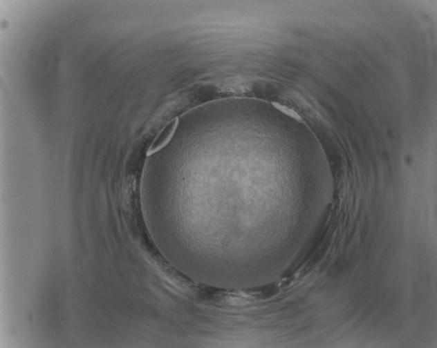 X0000075890229200609221919