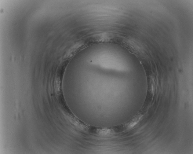 X0000075890230200609221919