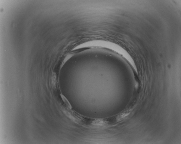 X0000075890231200609221919