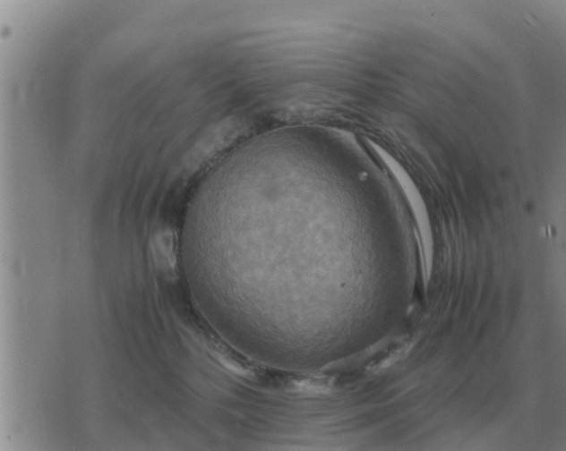 X0000075890232200609221919