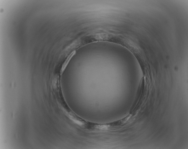 X0000075890233200609221919