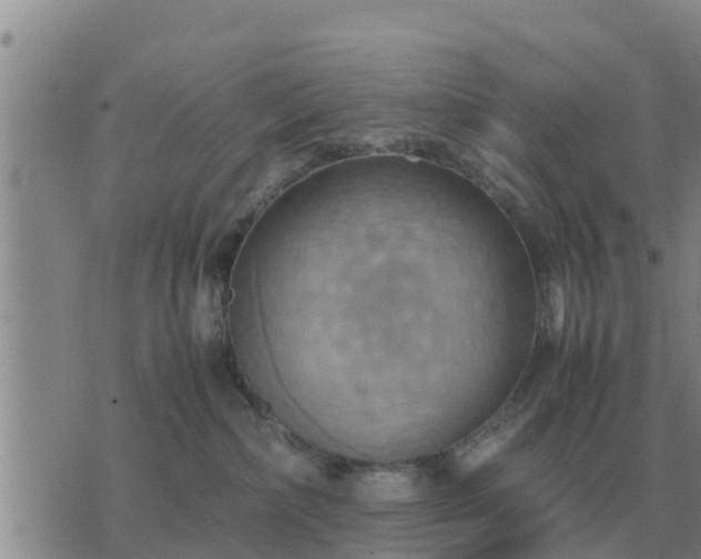 X0000075890236200609221919