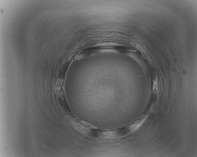 X0000075890237200609221919