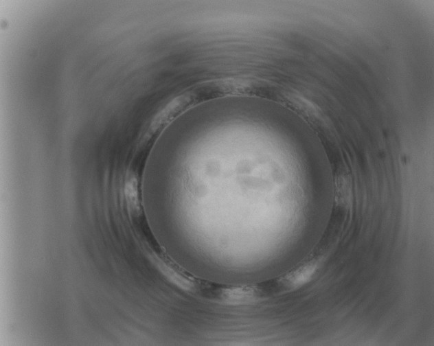 X0000075890238200609221919