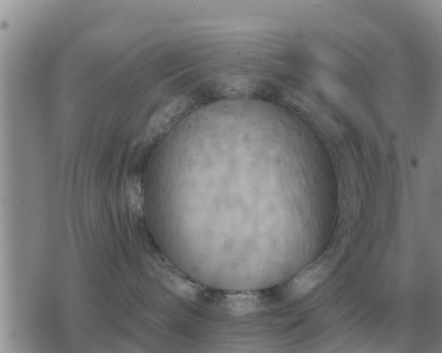 X0000075890240200609221919