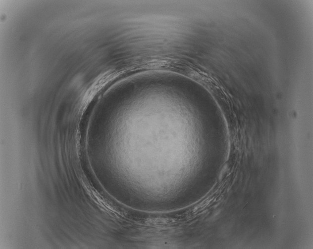 X0000075890242200609221918