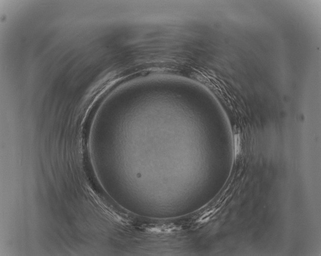X0000075890243200609221918
