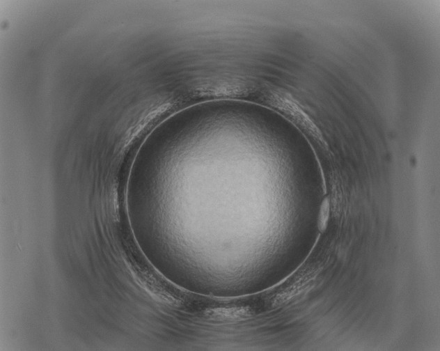X0000075890251200609221918