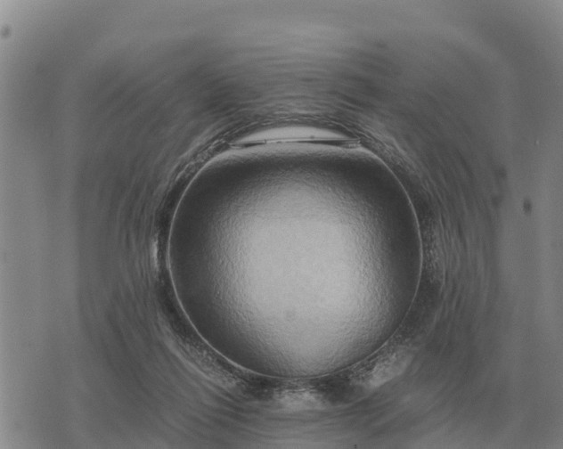 X0000075890262200609221918