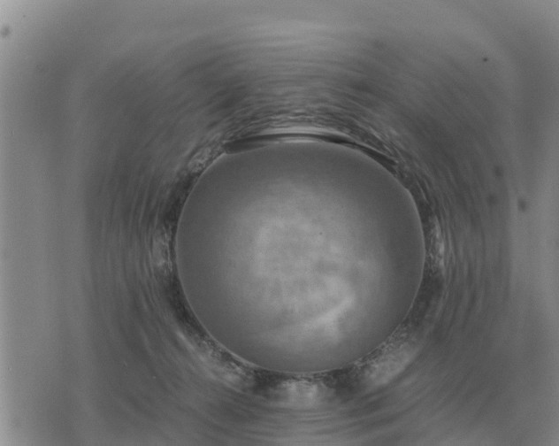 X0000075890272200609221919