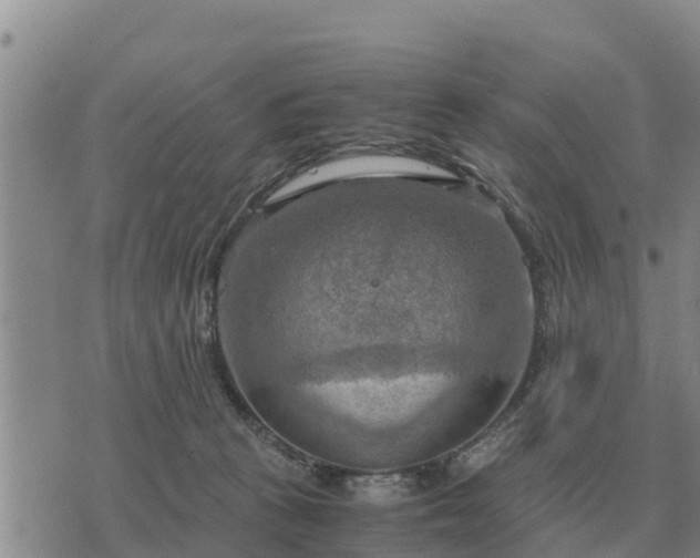 X0000075890273200609221919