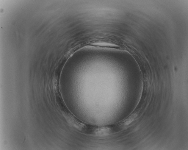 X0000075890274200609221919