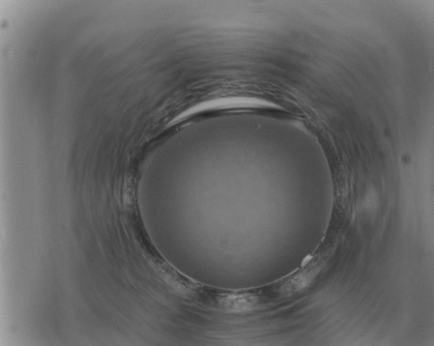 X0000075890277200609221919