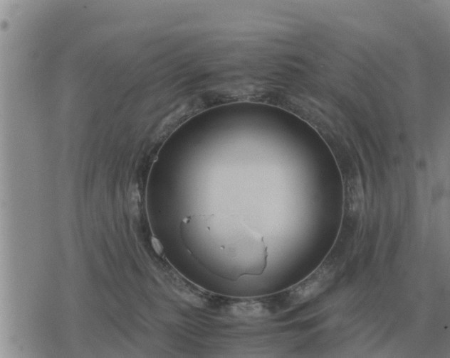 X0000075890279200609221919