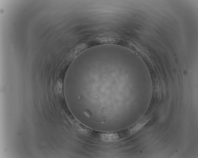 X0000075890281200609221919