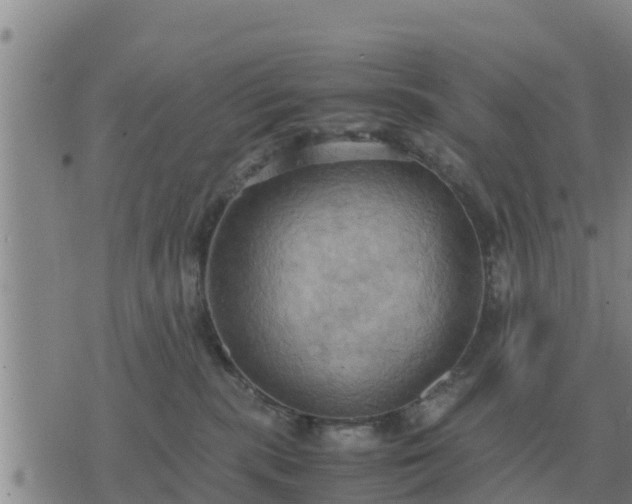 X0000075890283200609221919