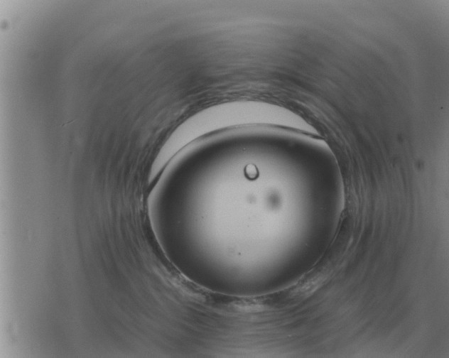 X0000075890284200609221919