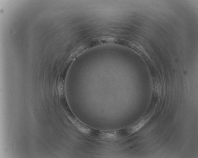 X0000075890285200609221919