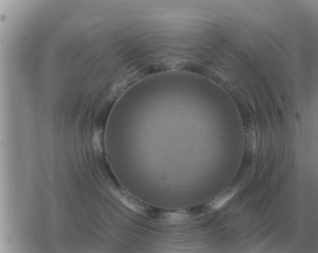 X0000075890286200609221919